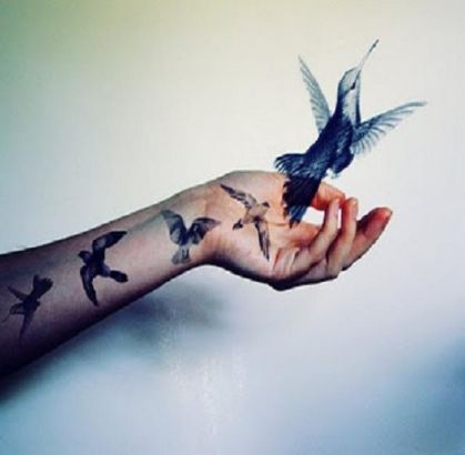 Birds Pics Tattoo On Arm