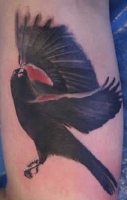 Crow Pic Tattoo