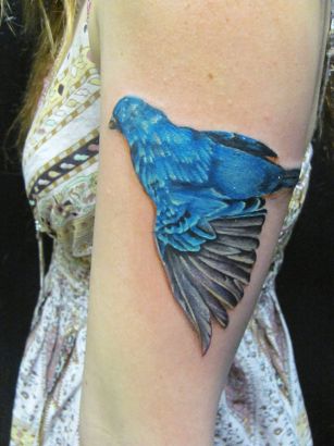 Dead Blue Bird Pic Tattoo On Arm