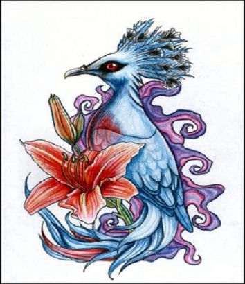 Exotic Bird Pic Tattoo