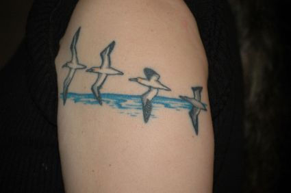 Birds Tattoos Design Pics