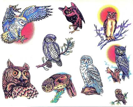 Owls Tattoos 