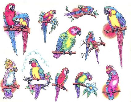 Parrot Pic Tattoos