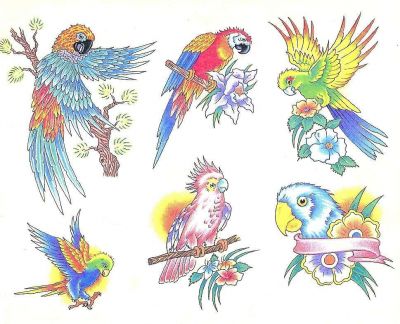 parrot tattoos gallery pic design. Birds tattoos, others tattoos, Tattoos of Birds, Tattoos of others, Birds tats, others tats, Birds free tattoo designs, others free tattoo designs, Birds tattoos picture, others tattoos picture, Birds pictures tattoos, others pictures tattoos, Birds free tattoos, others free tattoos, Birds tattoo, others tattoo, Birds tattoos idea, others tattoos idea, Birds tattoo ideas, others tattoo ideas, parrot tattoos