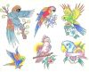parrot tattoos