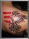bird tattoo inked on shoulder