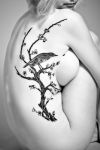 bird on cherry blossom tree tattoo on rib