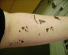 bird pic tattoo on arm