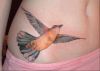 bird pic tattoo on side stomach