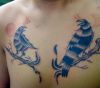 bird pics tattoos on chest