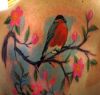 bird sits on branch pic tattoo
