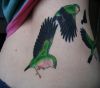 birds tattoo on back