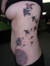 dandelion and birds tattoo on rib of girl