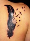 feather and bird pic tattoo on back