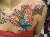Bird tattoos on chest