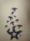 star and birds pic tattoo