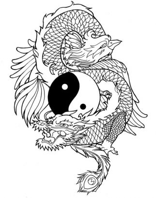 Phoenix,dragon And Yin Yang Tattoo