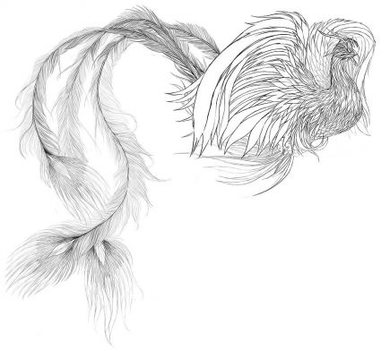 Phoenix Free Pic Of Tattoo