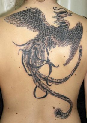 Phoenix Pics Of Tattoos On Back