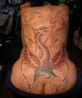 Phoenix Picture Tattoos For Back