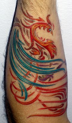 Phoenix Pictures Tattoo On Arm