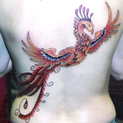 Phoenix Pictures Tattoo On Back