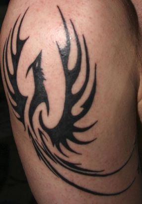 Phoenix Tattoos On Arm