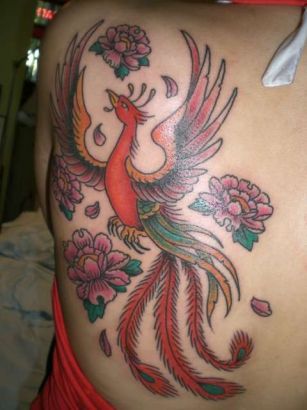 Phoenix Tattoos Pics On Back