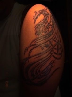 Tribal Phoenix Pics Tattoo On Arm