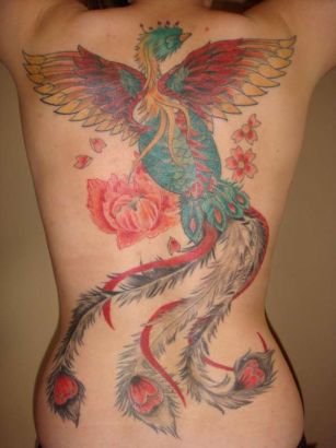 Birds tattoos, phoenix tattoos, Tattoos of Birds, Tattoos of phoenix, Birds tats, phoenix tats, Birds free tattoo designs, phoenix free tattoo designs, Birds tattoos picture, phoenix tattoos picture, Birds pictures tattoos, phoenix pictures tattoos, Birds free tattoos, phoenix free tattoos, Birds tattoo, phoenix tattoo, Birds tattoos idea, phoenix tattoos idea, Birds tattoo ideas, phoenix tattoo ideas, Phoenix tattoo design