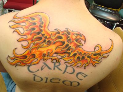 phoenix and text pic tattoo design on back. Birds tattoos, phoenix tattoos, Tattoos of Birds, Tattoos of phoenix, Birds tats, phoenix tats, Birds free tattoo designs, phoenix free tattoo designs, Birds tattoos picture, phoenix tattoos picture, Birds pictures tattoos, phoenix pictures tattoos, Birds free tattoos, phoenix free tattoos, Birds tattoo, phoenix tattoo, Birds tattoos idea, phoenix tattoos idea, Birds tattoo ideas, phoenix tattoo ideas, phoenix and text pic of tattoo on back