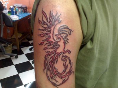 phoenix arm pic tattoo design. Birds tattoos, phoenix tattoos, Tattoos of Birds, Tattoos of phoenix, Birds tats, phoenix tats, Birds free tattoo designs, phoenix free tattoo designs, Birds tattoos picture, phoenix tattoos picture, Birds pictures tattoos, phoenix pictures tattoos, Birds free tattoos, phoenix free tattoos, Birds tattoo, phoenix tattoo, Birds tattoos idea, phoenix tattoos idea, Birds tattoo ideas, phoenix tattoo ideas, phoenix arm pic tattoo