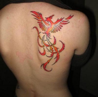 Phoenix Shoulder Tattoo