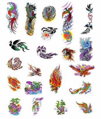 Birds tattoos, phoenix tattoos, Tattoos of Birds, Tattoos of phoenix, Birds tats, phoenix tats, Birds free tattoo designs, phoenix free tattoo designs, Birds tattoos picture, phoenix tattoos picture, Birds pictures tattoos, phoenix pictures tattoos, Birds free tattoos, phoenix free tattoos, Birds tattoo, phoenix tattoo, Birds tattoos idea, phoenix tattoos idea, Birds tattoo ideas, phoenix tattoo ideas, phoenix pic tattoo gallery