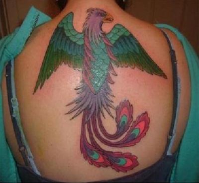 Birds tattoos, phoenix tattoos, Tattoos of Birds, Tattoos of phoenix, Birds tats, phoenix tats, Birds free tattoo designs, phoenix free tattoo designs, Birds tattoos picture, phoenix tattoos picture, Birds pictures tattoos, phoenix pictures tattoos, Birds free tattoos, phoenix free tattoos, Birds tattoo, phoenix tattoo, Birds tattoos idea, phoenix tattoos idea, Birds tattoo ideas, phoenix tattoo ideas, phoenix pics of tattoo on back