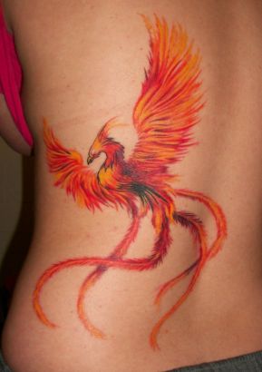 Birds tattoos, phoenix tattoos, Tattoos of Birds, Tattoos of phoenix, Birds tats, phoenix tats, Birds free tattoo designs, phoenix free tattoo designs, Birds tattoos picture, phoenix tattoos picture, Birds pictures tattoos, phoenix pictures tattoos, Birds free tattoos, phoenix free tattoos, Birds tattoo, phoenix tattoo, Birds tattoos idea, phoenix tattoos idea, Birds tattoo ideas, phoenix tattoo ideas, phoenix tattoo gallery