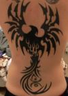 Phoenix tattoos pics image