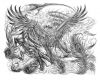 dragon and phoenix pic tattoo