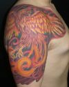 phoenix pics tattoo on shoulder