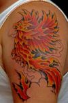 phoenix pic of tattoo on arm