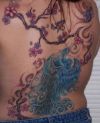 phoenix and cherry blossom tree pic tattoo on back