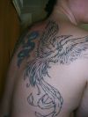 phoenix and dragon back tattoo