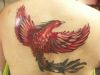 phoenix image of tattoo on back