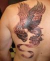 phoenix pic back tattoo
