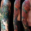 phoenix pic tattoo on full sleeve