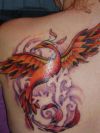 phoenix pic tattoo on left shoulder blade