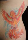 phoenix pic tattoo on rib