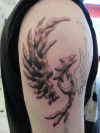 phoenix pic tattoos on right arm