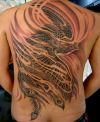 phoenix pics tattoo on full back