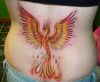 phoenix pics tattoo on lower back